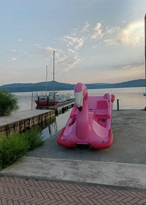 Lago di Viverone - Pedalò