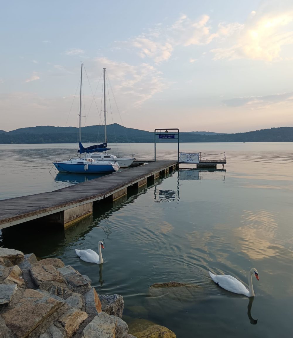 Lago di Viverone - Vele e cigni